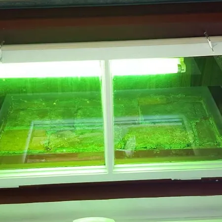 Coola Λιουμπλιάνα