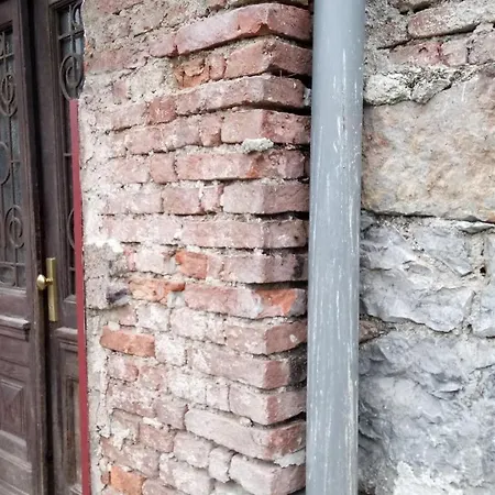 Coola * Ljubljana